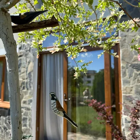 Sea Garden Escape - Byala